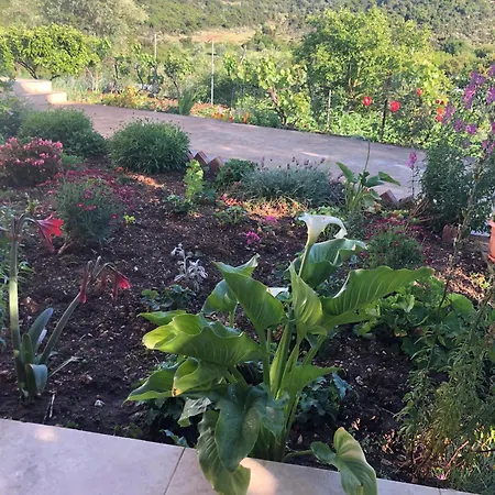 بيت ضيافة Nino's